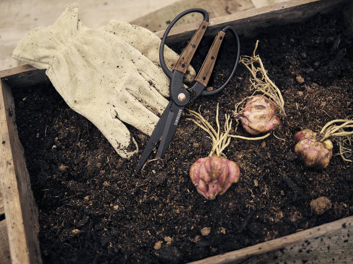 Gardening Tools & Kits