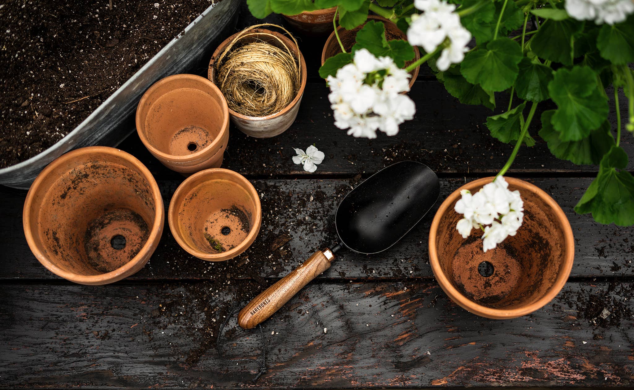 Gardening Books