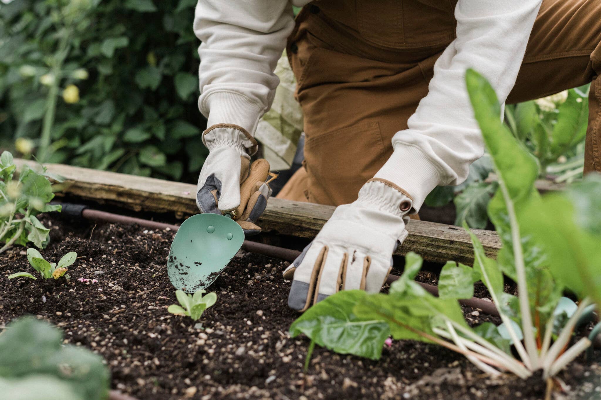 The Homestead Garden Scoop