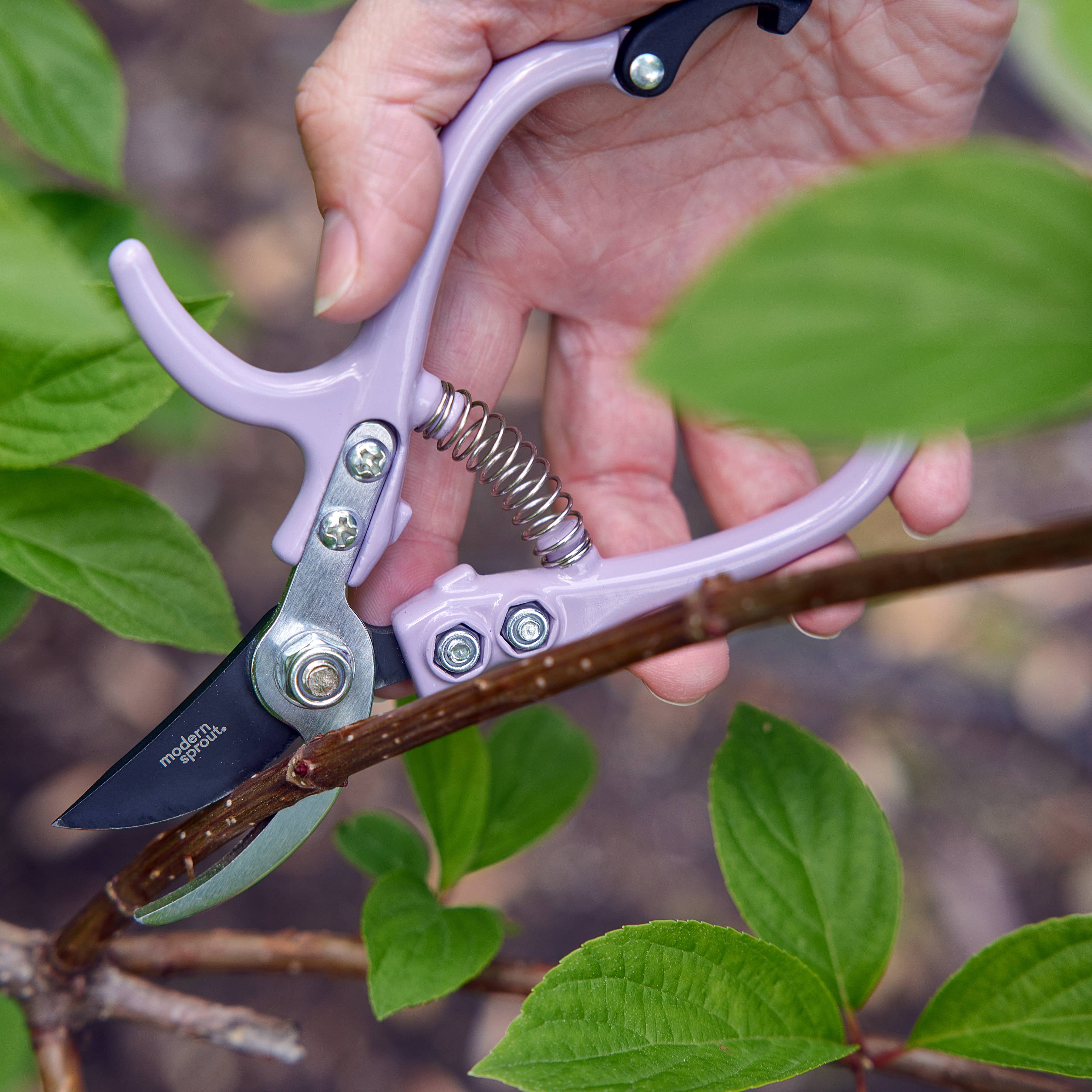 Bloomstead Garden Pruners: Chartreuse