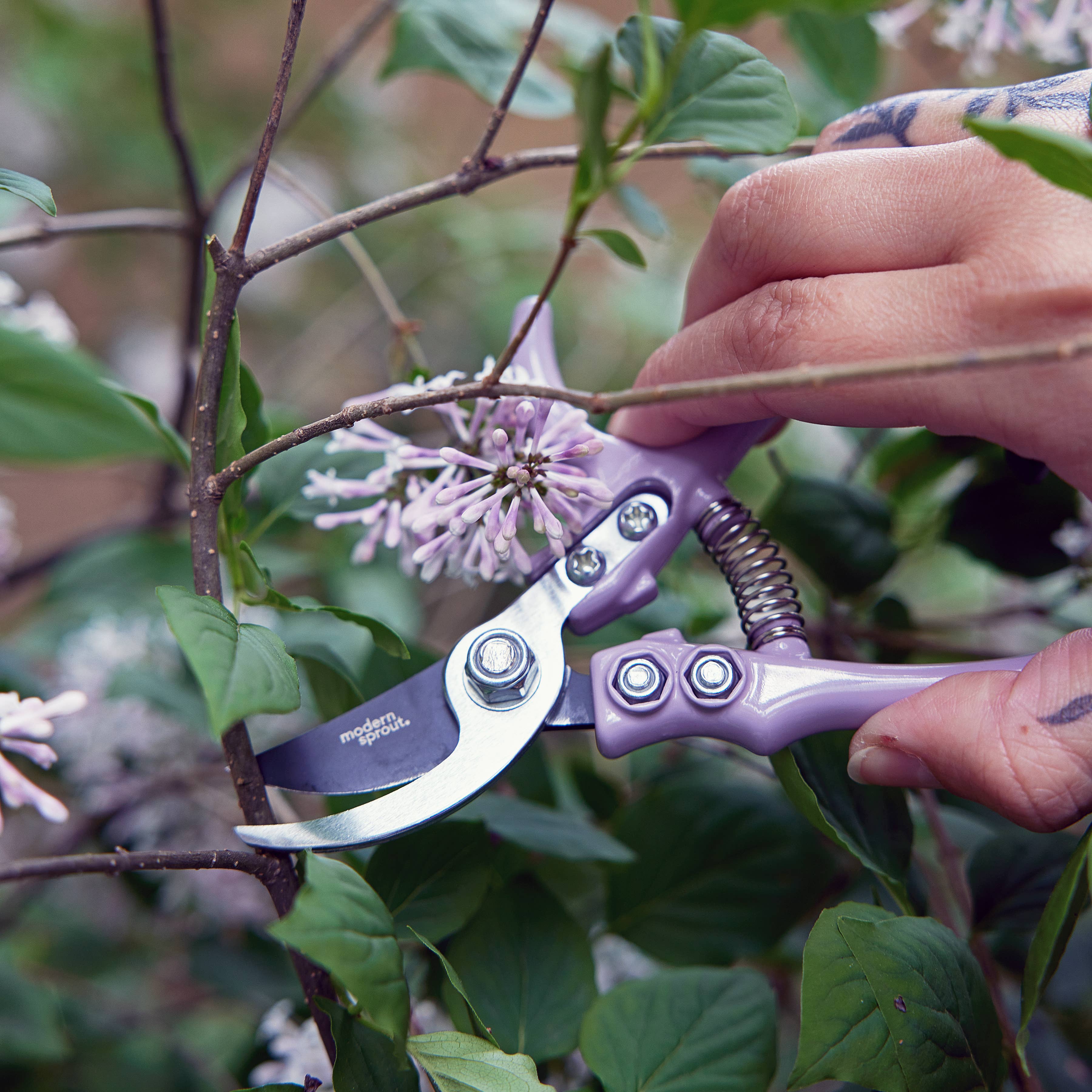 Bloomstead Garden Pruners: Chartreuse