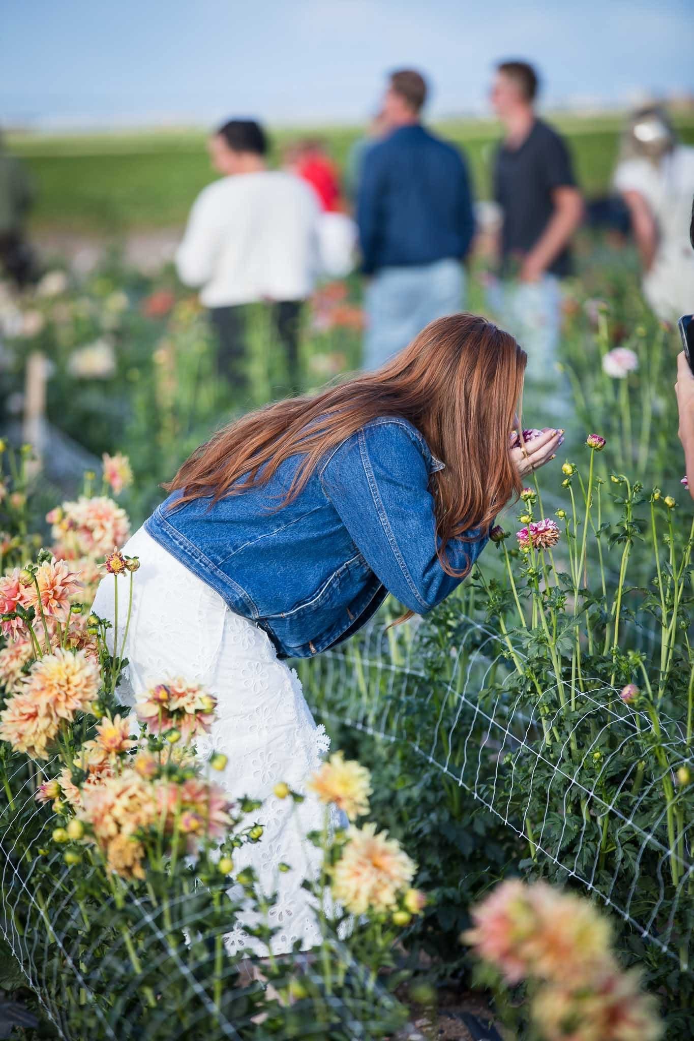 Bloomstead Dahlia Festival Dinner - Friday August 28, 2026