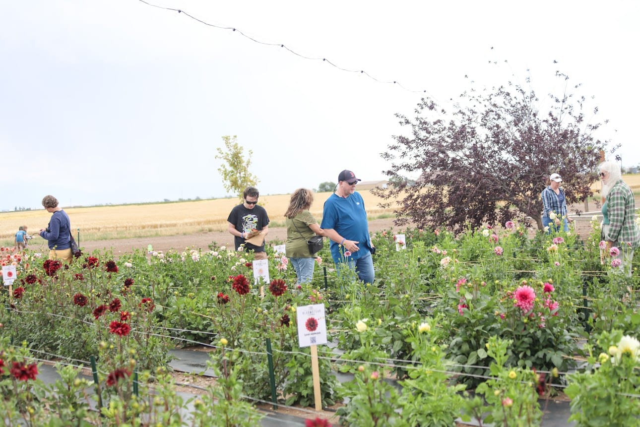 Fall at Bloomstead: Community Farm Day FREE! August 29th