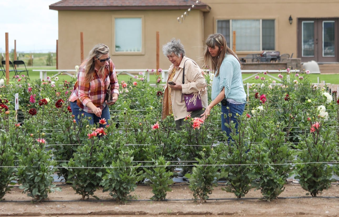 Fall at Bloomstead: Community Farm Day FREE! August 29th
