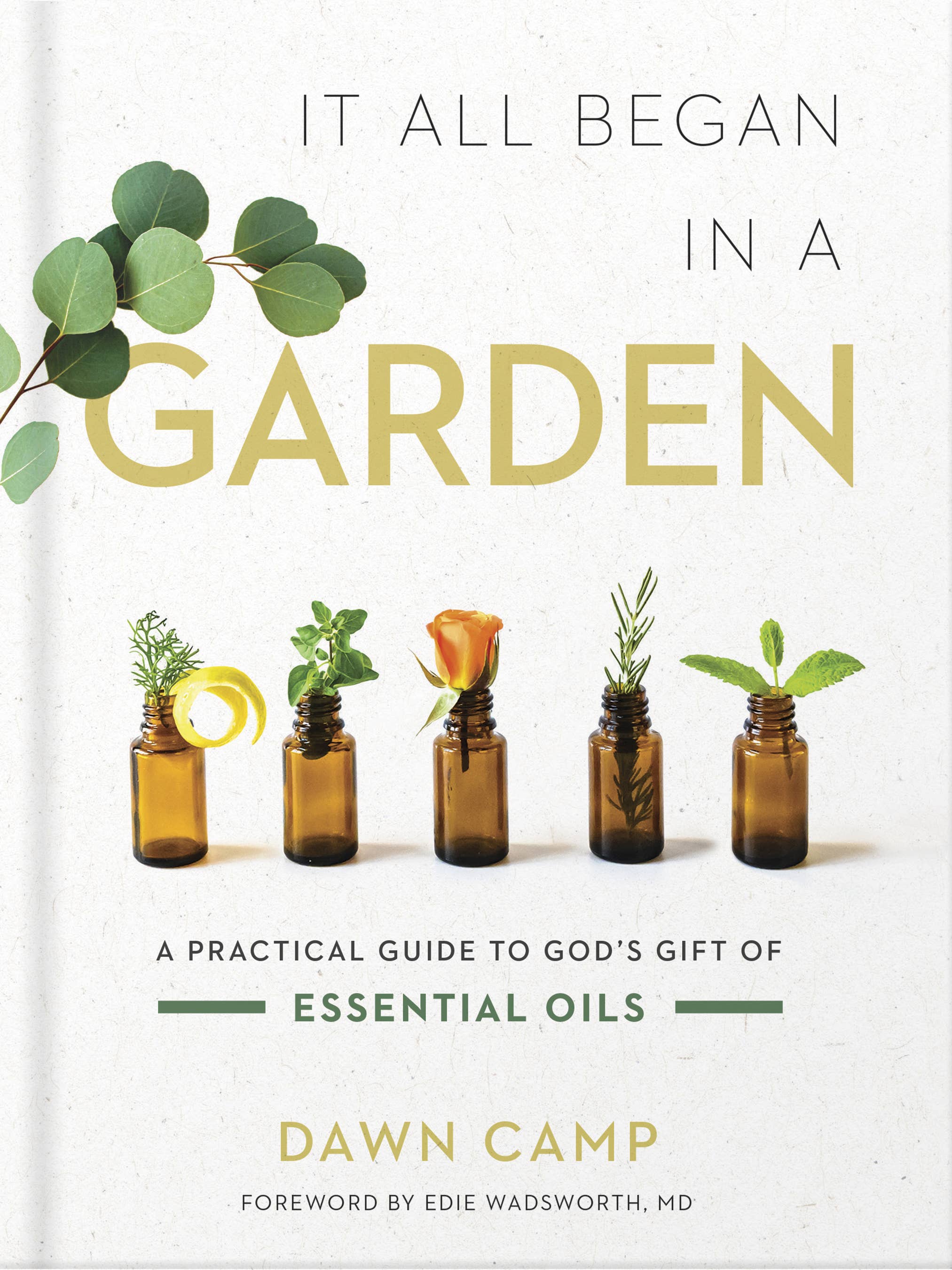 It All Began in a Garden: Hardcover / English