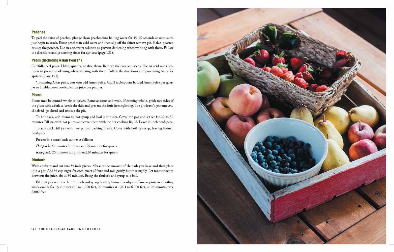 The Homestead Canning Cookbook: Paperback / English