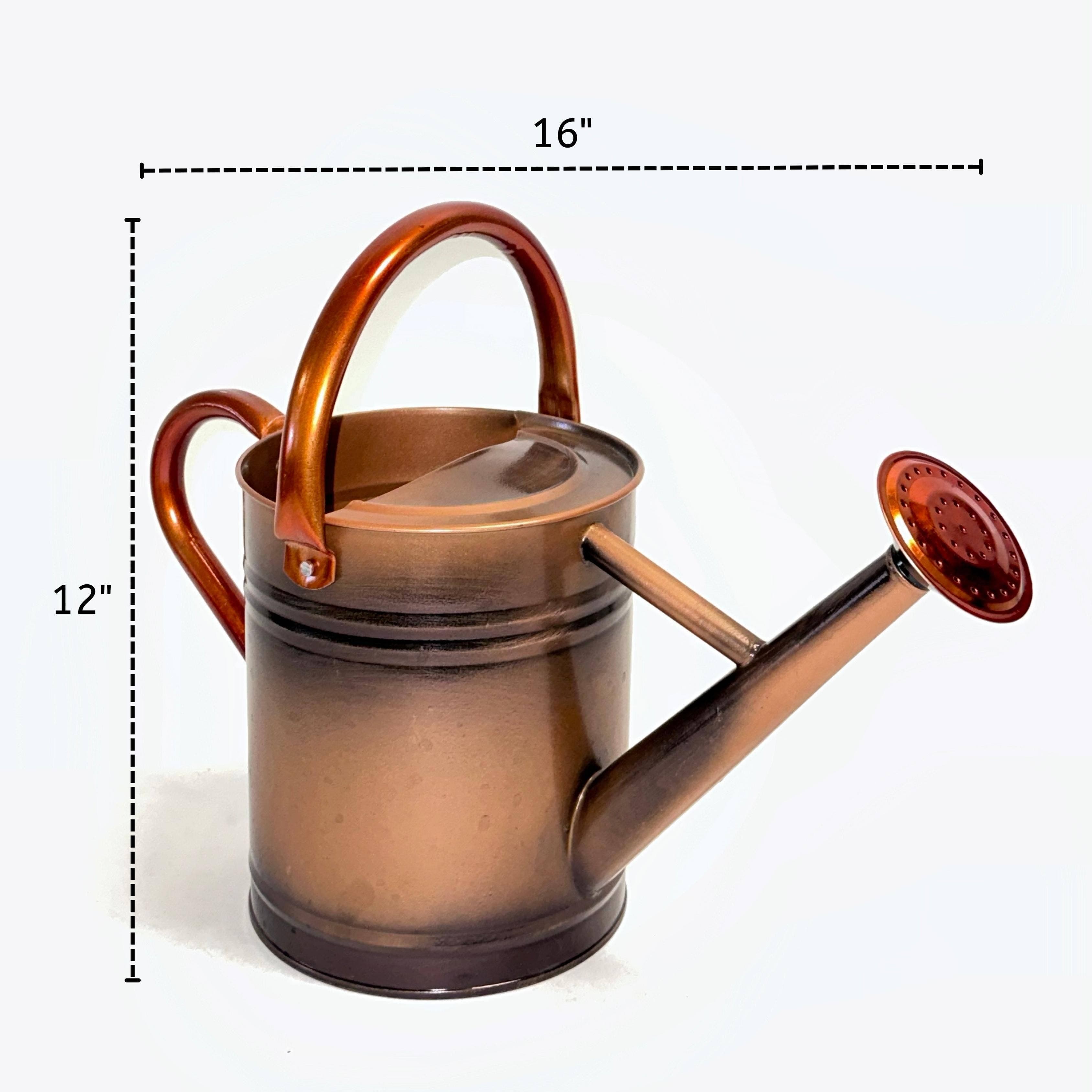 Wendi's Good Things Copper Water Can